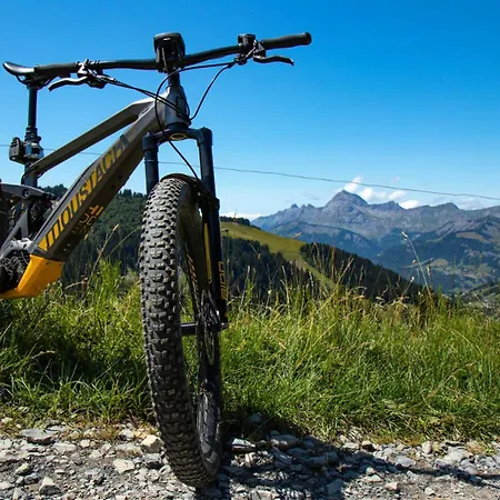 Les Oursons - Typique Au Pied Des Pistes Du Mont Rond Mae-3034 * ノートル・ダム・ド・ベルコンブ